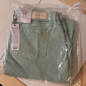 Slink Boyfriend Jeans Curvy Pistachio Mint Green 16